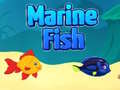 Hry Marine Fish