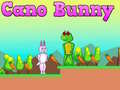 Hry Cano Bunny