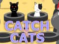 Hry Catch Cats