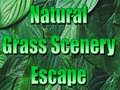 Hry Natural Grass Scenery Escape
