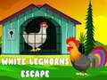 Hry White Leghorns Escape