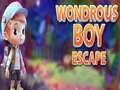 Hry Wondrous Boy Escape