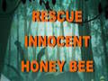 Hry Rescue Innocent Honey Bee 