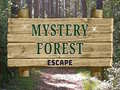 Hry Mystery Forest