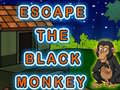 Hry Escape The Black Monkey