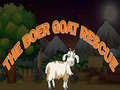 Hry The Boer Goat rescue