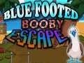 Hry Blue Footed Booby Escape