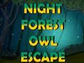 Hry Night Forest Owl Escape