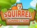 Hry Squirrel Connection