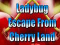 Hry Ladybug Escape From Cherry Land