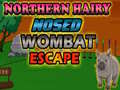 Hry Northern hairy nosed wombat Escape