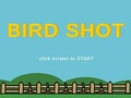 Hry Bird Shot