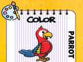 Hry Color Parrot