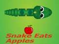 Hry Snake Eats Apple