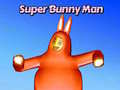 Hry Super Bunny Man