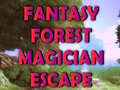 Hry Fantasy Forest Magician Escape
