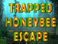 Hry Trapped Honeybee Escape