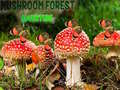 Hry Mushroom Forest Adventure