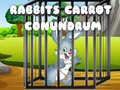 Hry Rabbits Carrot Conundrum