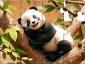 Hry Jigsaw Puzzle: Panda On Tree