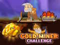 Hry Gold Miner Challenge
