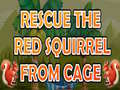 Hry Rescue The Red Squirrel From Cage