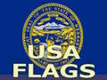 Hry Usa Flags 