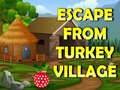 Hry Escape From Turkey Village