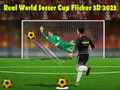 Hry Real World Soccer Cup Flicker 3D 2023