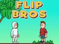 Hry Flip Bros