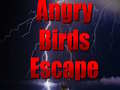 Hry Angry Birds Escape