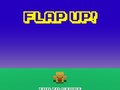 Hry Flap Up