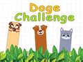 Hry Doge Challenge