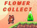 Hry Flower Collect