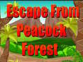 Hry Escape From Peacock Forest