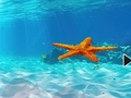 Hry Escape From Underwater Starfish