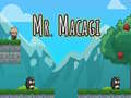 Hry Mr Macagi
