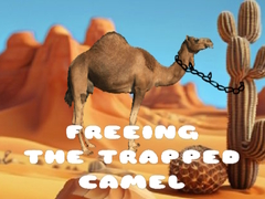 Hry Freeing the Trapped Camel
