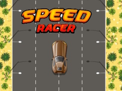Hry Speed Racer