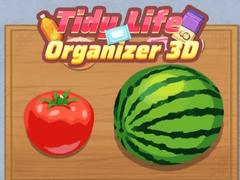 Hry Tidy Life Organizer 3D