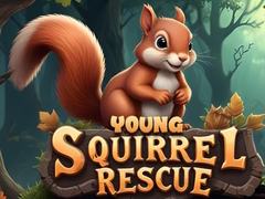 Hry Young Squirrel Rescue