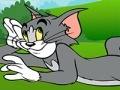 Hry Tom and Jerry ATV Adventure