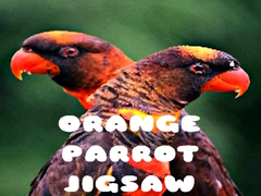 Hry Orange Parrot Jigsaw