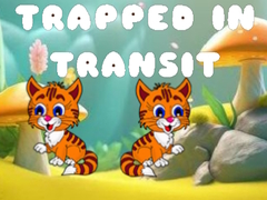 Hry Trapped in Transit