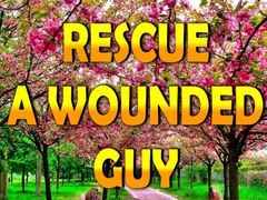 Hry Rescue A Wounded Guy