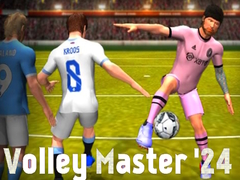 Hry Volley Master '24