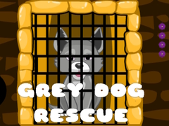 Hry Grey Dog Rescue