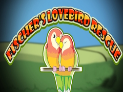 Hry Fischer's Lovebird Rescue