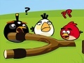 Hry Angry Birds Go Crazy