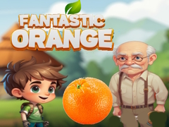 Hry Fantastic Orange